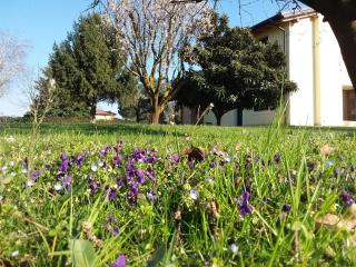 “Al Campo” - Verona - 1