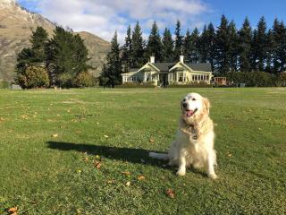 Laurel Bank House - Queenstown - 3