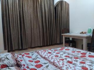 "Green way" Guest house - Tbilisi - 5