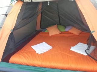 Black Lava Hostel and Lodge - 8