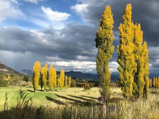 Birchwood A & B @ Clarens - Clarens - 7