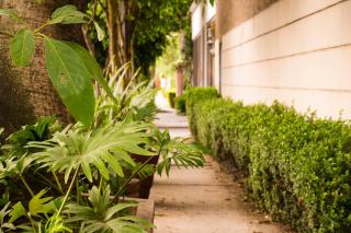 Suite 3C, Jacaranda, Garden House, Wewlcome to San Angel - Città del Messico - 3