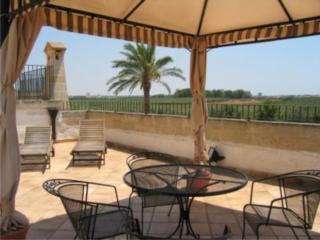 Masseria Bosco & Masseria Strazzati - 1