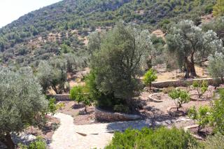 Zephyros Hotel - Mesudiye - 8