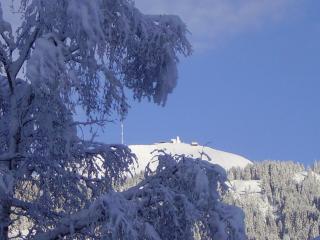 Apartment Landhaus Krall - 7