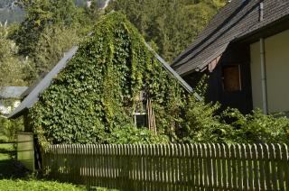 Haus Rosina - 6
