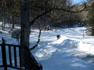 Mountain Valley Retreat - Killington - 7