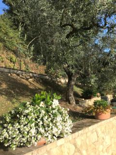 Casa Vacanze Vecciano - Montefalco - 9