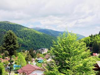 Casa Miu - Sinaia - 0