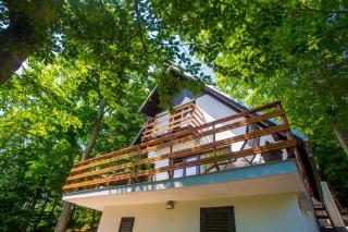 Holiday Home Vanda - 8