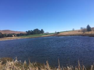 Everwood Estates - Dargle - 9