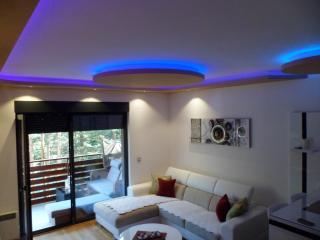 Apartment Crystal - Zlatibor - 1
