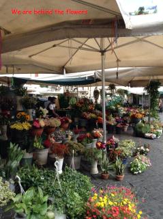 B&B In Piazza - Roma - 7