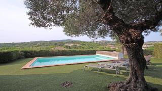 Restanques - Beauchêne - Sainte-Maxime - 5