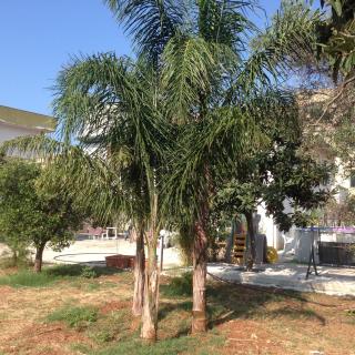 Stardust Home - Palermo - 5
