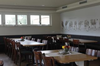 Gasthaus Hirsch - Ersingen - 5
