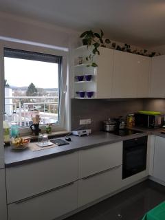 Apartment near Frankfurt, fantastic view! - Usingen - 2