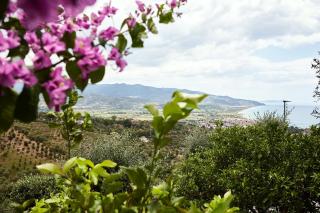 Casa Pendio Cilento - Casal Velino - 0