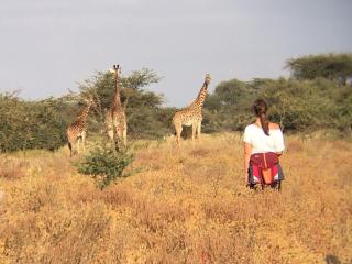 Maasai Simba Camp - Amboseli - 1