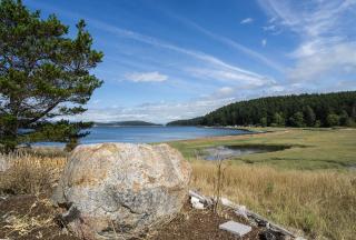 57 Mud Bay - Islandale - 2
