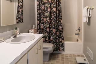 57 Mud Bay - Islandale - 5