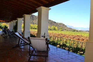 Viñas De Cafayate Wine Resort - Cafayate - 4
