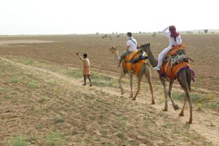 Boutique Helsinki - Jaisalmer - 2