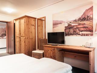 Bio-Hotel Helvetia - Bad Schandau - 3