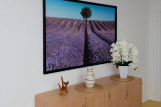 Sonnenschein Appartement - Ober-Hambach - 2