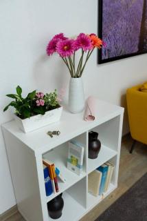 Blumenmeer Appartment - Ober-Hambach - 6