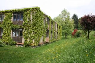 Blumenwiese Appartement - Ober-Hambach - 4