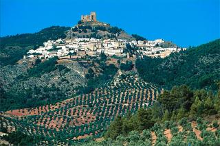 Apartamentos Azahar - 6