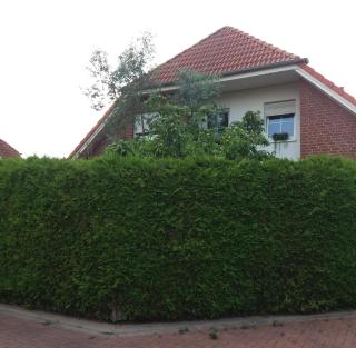 Ruhiges Zimmer direkt an den Leineauen - Hemmingen - 0