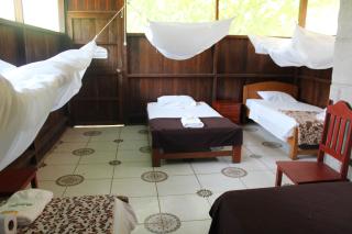 Paradise Amazon Tambopata Ecolodge - 3