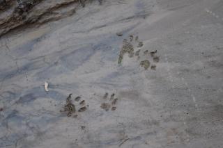 The Inn of Escalante - 6