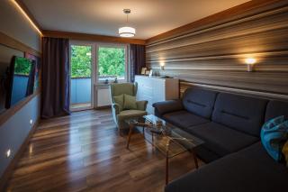Apartament Makuszynsky - Zakopane - 9
