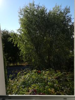 La Maison D'ayona - 8