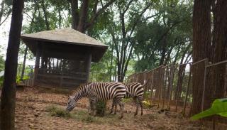 Amaris Hotel Mampang - Jakarta - Jakarta - 1