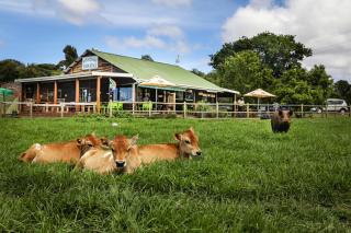Natures Way Bushbuck Cottage - The Crags - 1
