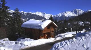 Chalet POMMAT - La Tania - 0