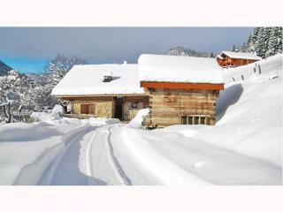 Gîte in Chatel with Stunning Alpine Views - Châtel - 0