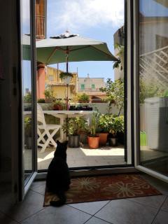 Appartamento La Rondine - Pesaro - 1