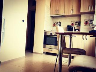 Apartament Civic Center - 4