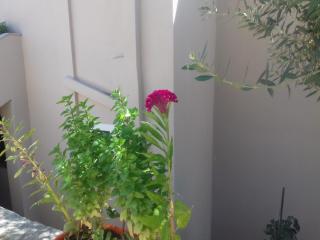 Shehu`s house - Sarandë - 5