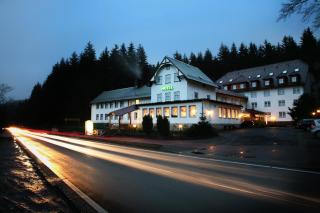 Hotel Rodebachmühle - Georgenthal - 3