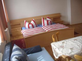 Harzer Ferienpension - 1