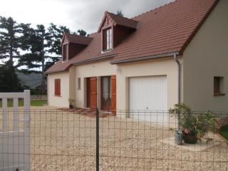 Gite Du Moulin Du Vivier - Seigy - 0