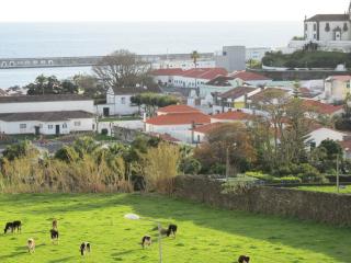 Casa Arrudas - Ponta Delgada - 8
