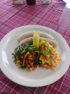 Pink Rock Inn Bed and Breakfast - Ocho Rios - 2