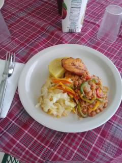 Pink Rock Inn Bed and Breakfast - Ocho Rios - 3